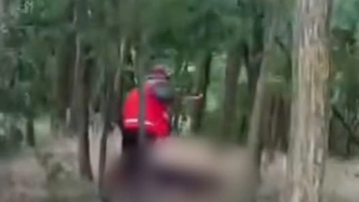 Cine este bărbatul acuzat că a ucis cu o cruzime extremă un câine într-o zonă împădurită din apropierea localității Zosin! Detalii șocante din anchetă