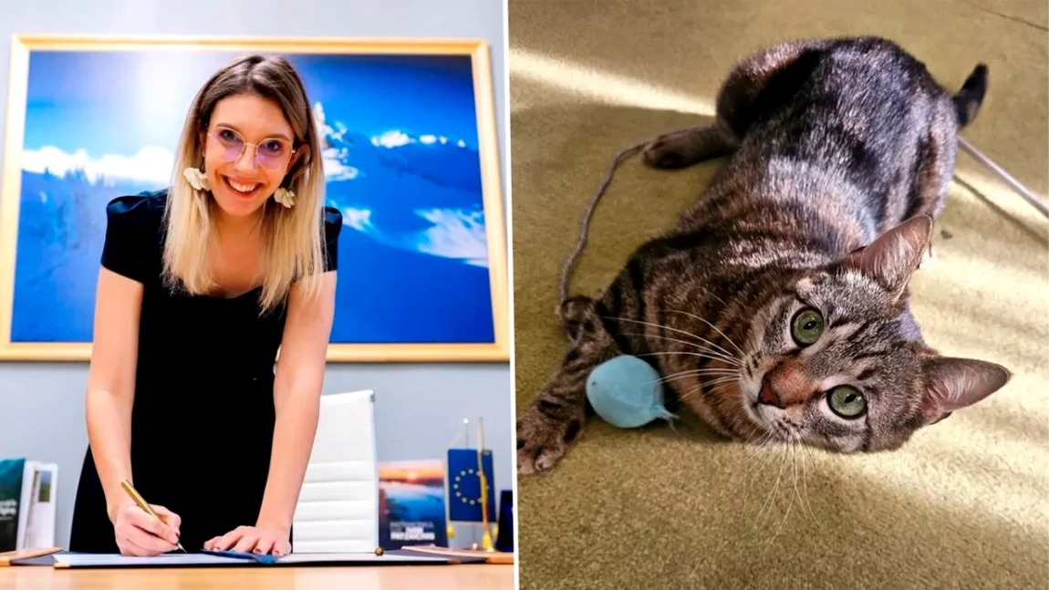 Diana Buzoianu nu s-a putut despărți de ea! Ce se întâmplă cu Leia, pisica devenită celebră