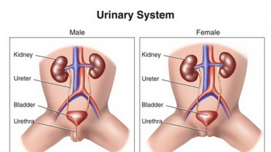 Uretrita. Simptome si tratament