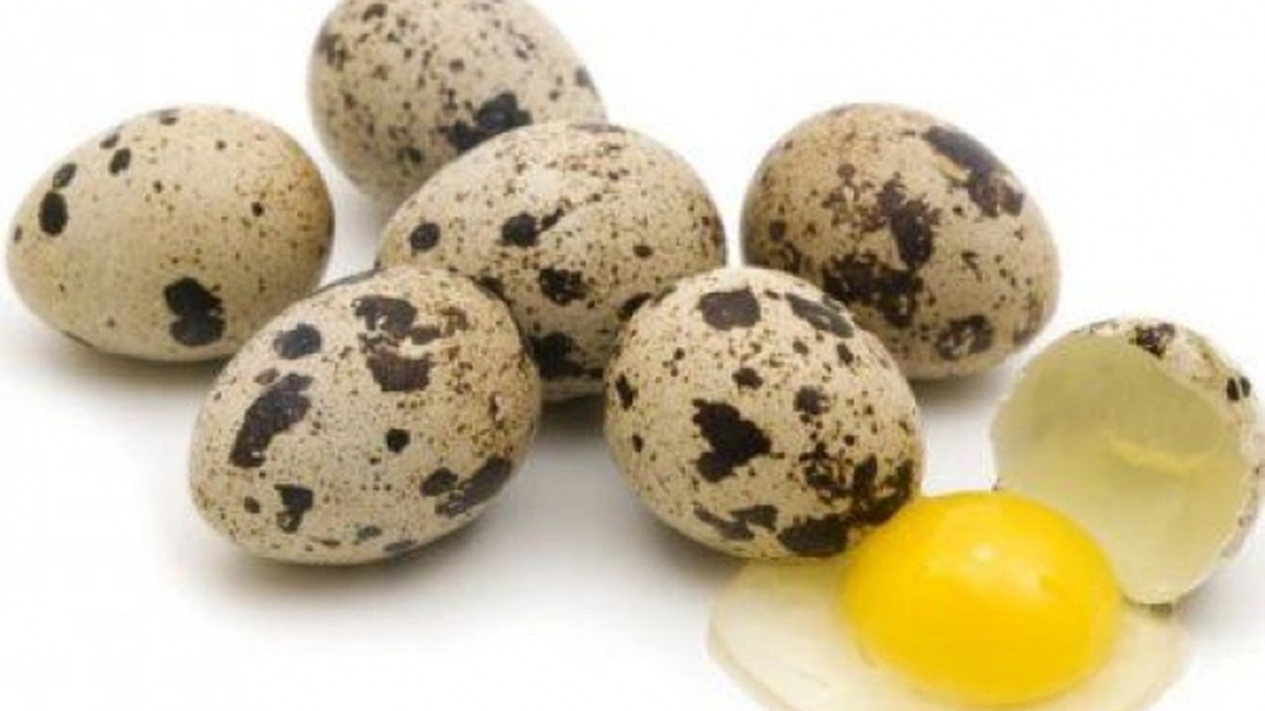 Ce beneficii au ouale de gasca, strut, rata, gaina, bibilica si prepelita