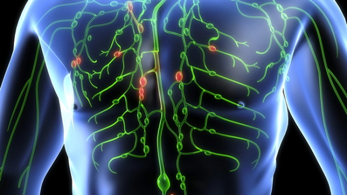 Reteta vindecatoarei Djuna pentru detoxifierea limfei si a sangelui