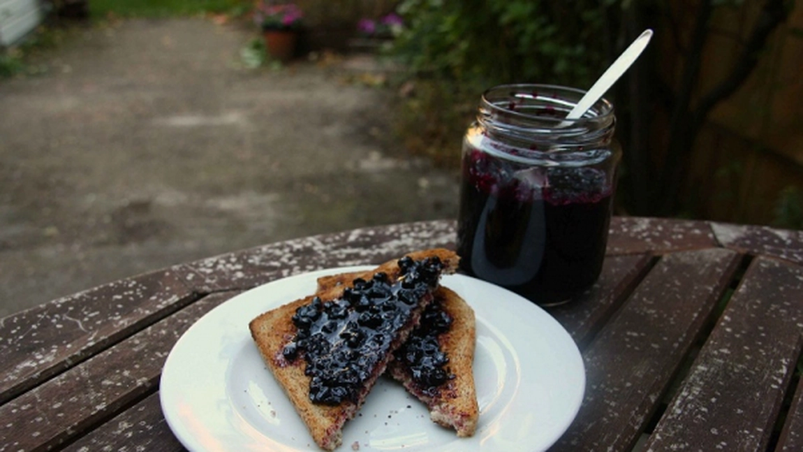 Cum se prepara si cum se consuma dulceata de soc ca medicament