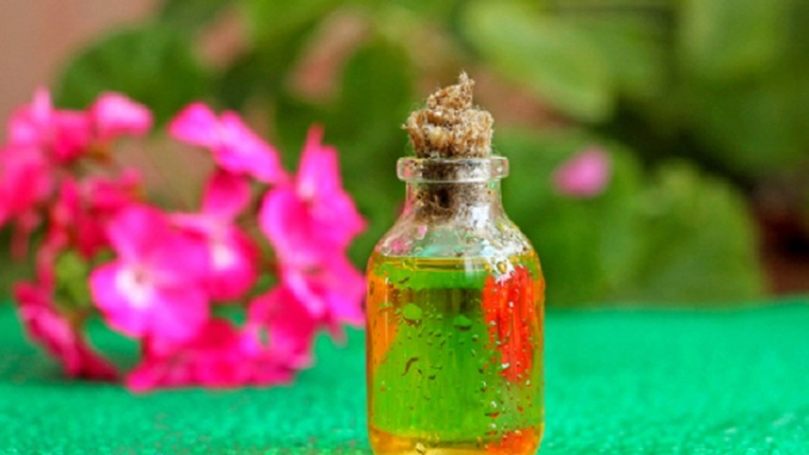 Indicatiile terapeutice ale uleiului de muscata. Vezi si cum il obtii acasa