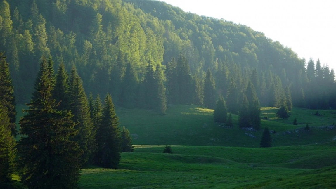 Traseu montan Apuseni: Circuitul Magura Vanata
