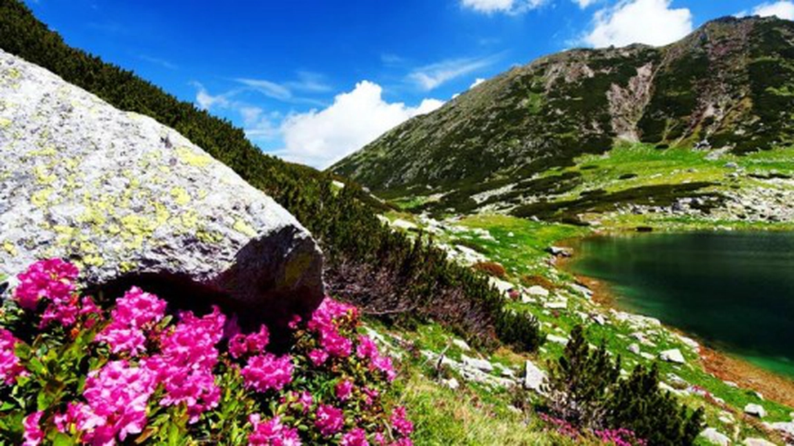 Munti frumosi din Romania pe care merita sa-i strabati - FOTO
