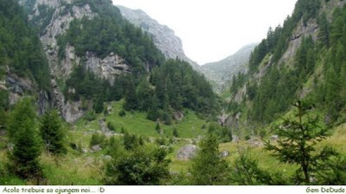 Traseu: Busteni - Valea Cerbului-Varful Omu