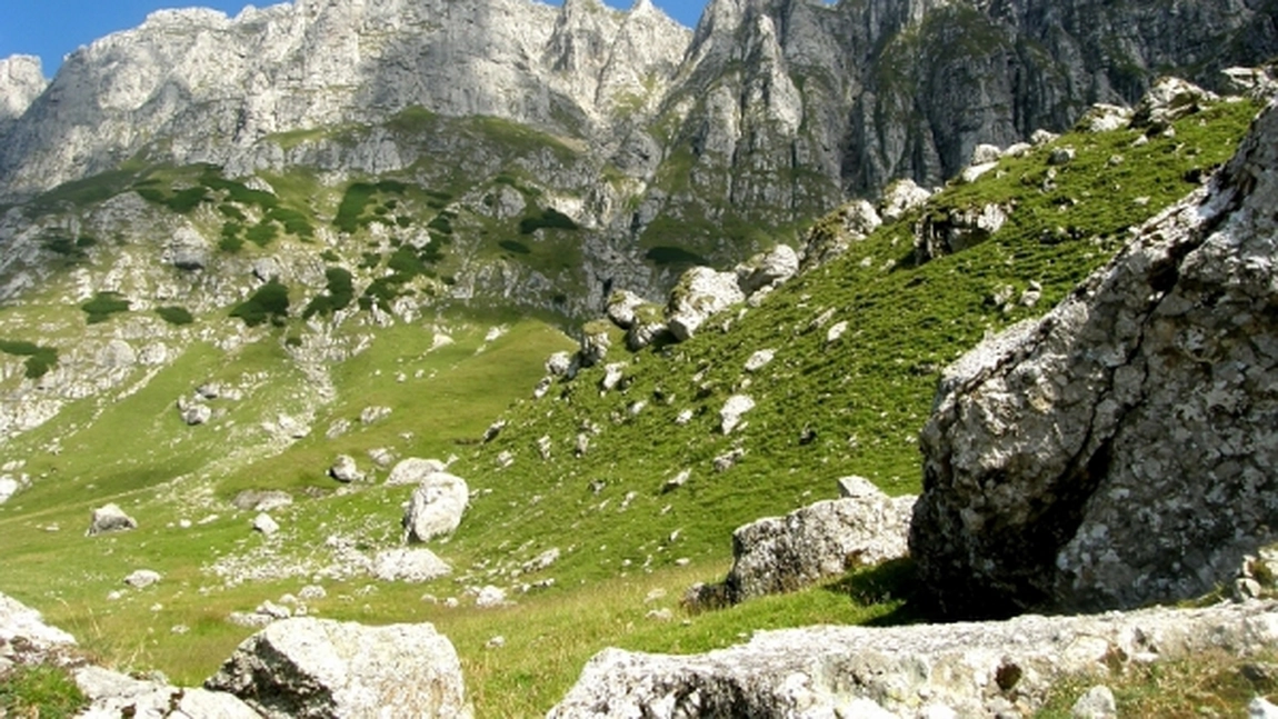 Traseu: Busteni - P. Izvoarelor-Pichetul Rosu - Bucsoiu - Varful Omul