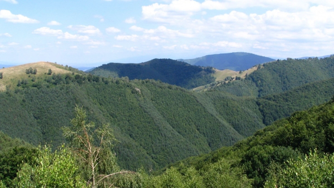 Traseu drumetii: Paltinis - Varful Oncesti - Poiana Muncel - Stana Gaujoara - Izvorul Dorul Clujului - Paltinis