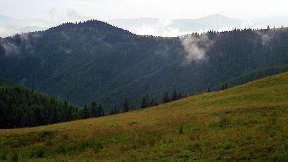 Traseu drumetii: Vatra Dornei - Varful Barnarel - Varful Obcina Mica - Poiana Ticseni