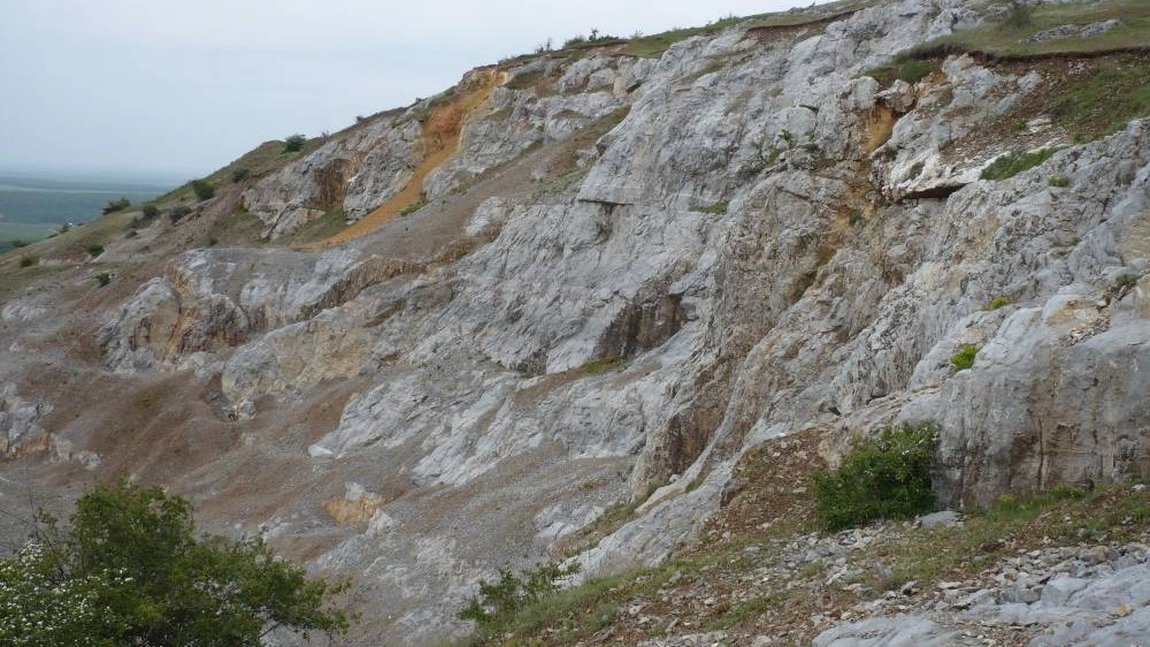 Locul Fosilifer Corus - Cluj