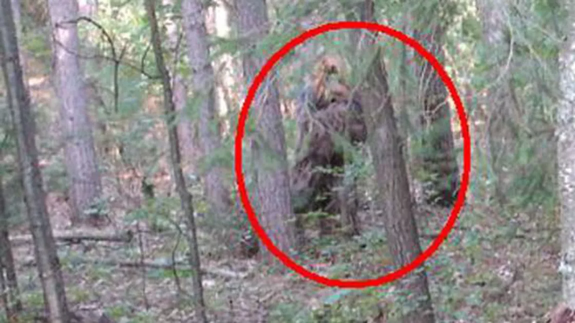 SCANDAL. Un vanator l-a omorat pe BIGFOOT si acuza AUTORITATILE ca au MUSAMALIZAT cazul - FOTO