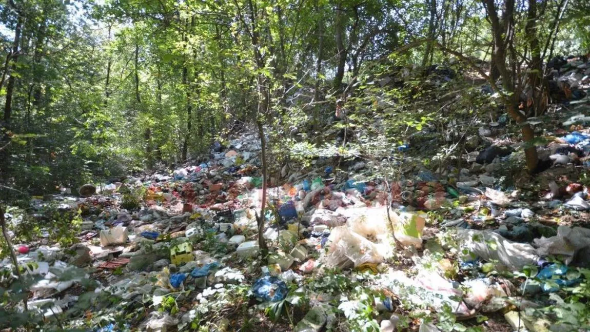 Acțiune de ecologizare a ariilor protejate, la Iași