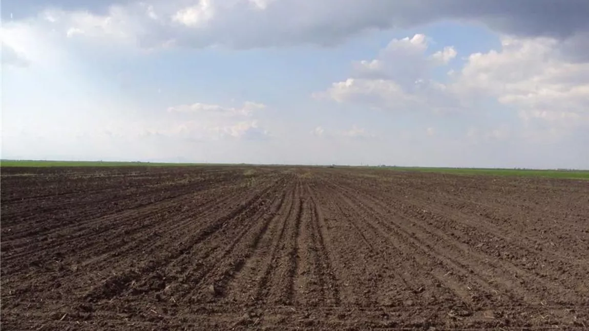 Cel mai scump teren agricol s-a vândut la Iași cu sute de mii de euro. Iată cât au plătit investitorii pentru a avea cele mai bune proprietăți