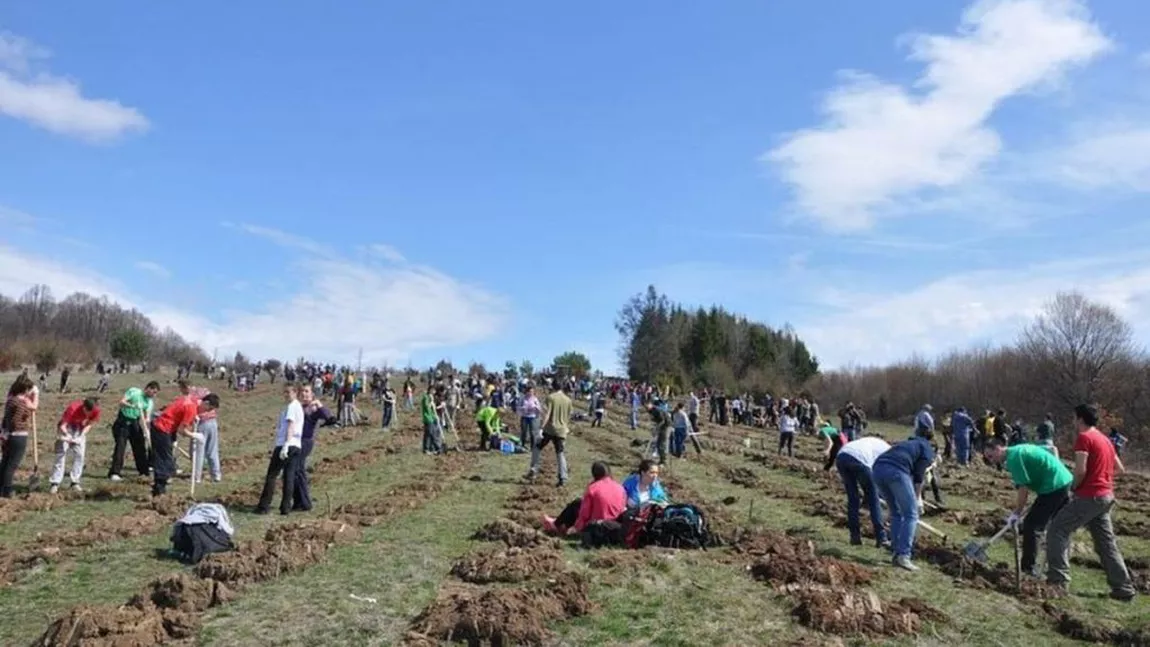 Campania de împăduriri va începe luna viitoare în Iași