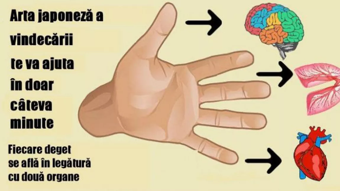 Uită-te la mâinile tale - Ele spun de ce afecţiuni suferi