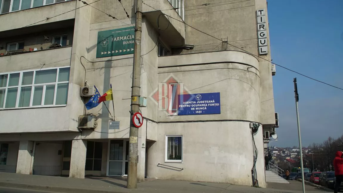 Ieșenii au la dispoziție noi locuri de muncă vacante la diverse companii din Iași