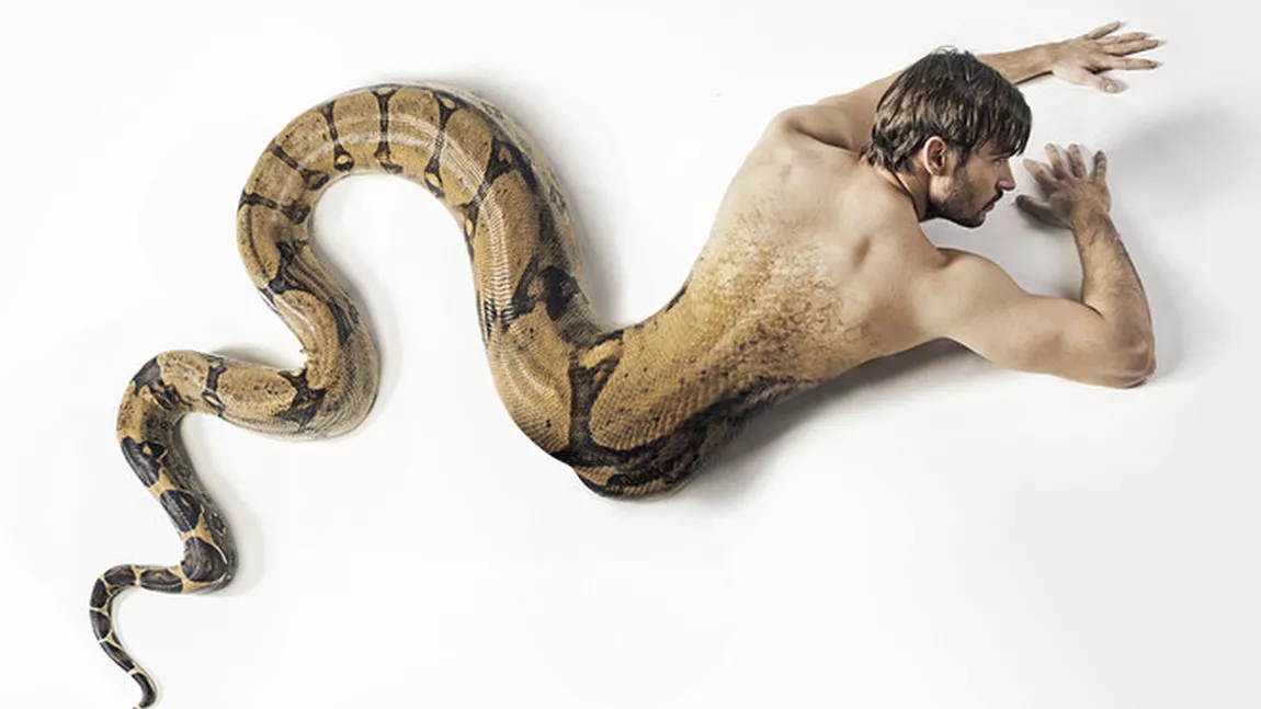 Ce înseamnă dacă visez șerpi. Care sunt cele mai comune înțelesuri ale șarpelui din vis