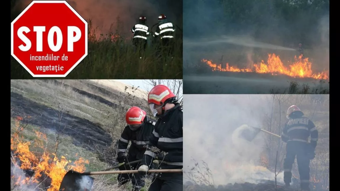 Inspectoratul pentru Situații de Urgență Iași trage un semnal la alarmă: „Stop incendiilor de vegetație uscată”. Sfaturi pentru arderea miriștilor