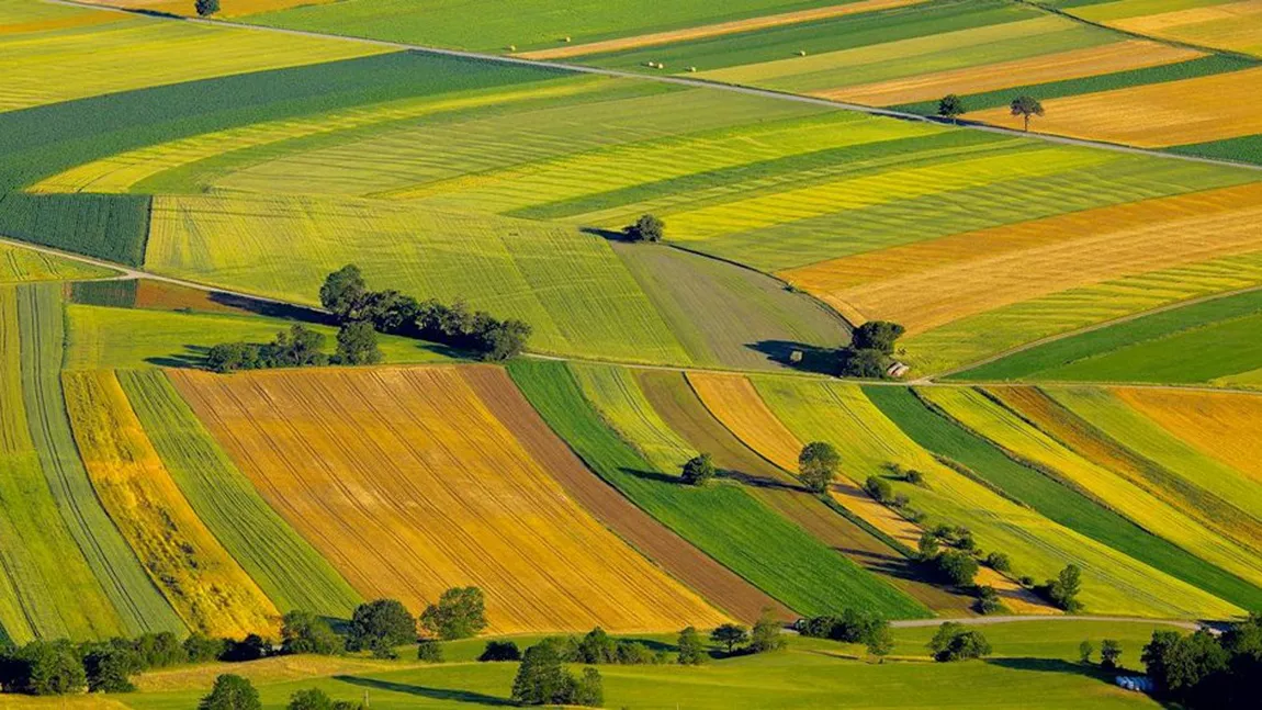 Au crescut ofertele de vânzare pentru terenuri agricole din Iași, în anul 2020. Comunele din jurul orașului sunt în continuare cele mai căutate de clienți