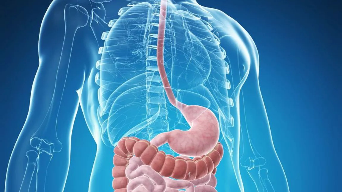 Pacienții vindecati de Covid-19 raman cu virusul in sistemul digestiv, chiar si in absenta simptomelor