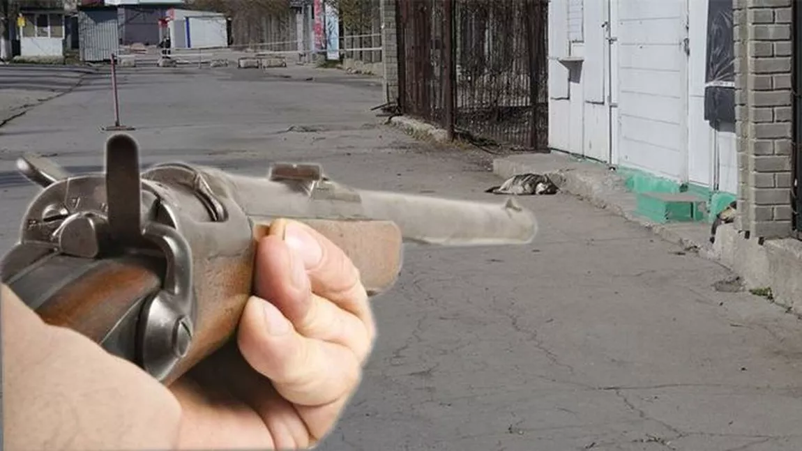 Cruzime fără margini! Un cățeluș a fost executat cu două focuri de armă într-un cartier de vile din Iași! Un bărbat a împrumutat o armă de foc și a tras fără milă! (Exclusiv)