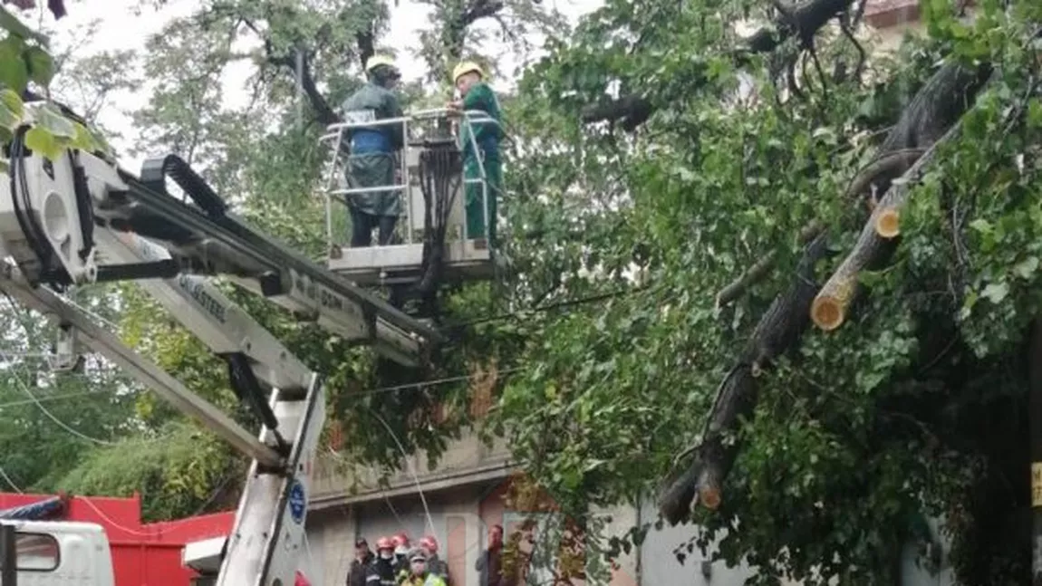 Furtuna face ravagii în Iași. Mai multe autovehicule au fost avariate din cauza copacilor căzuți - FOTO/ VIDEO