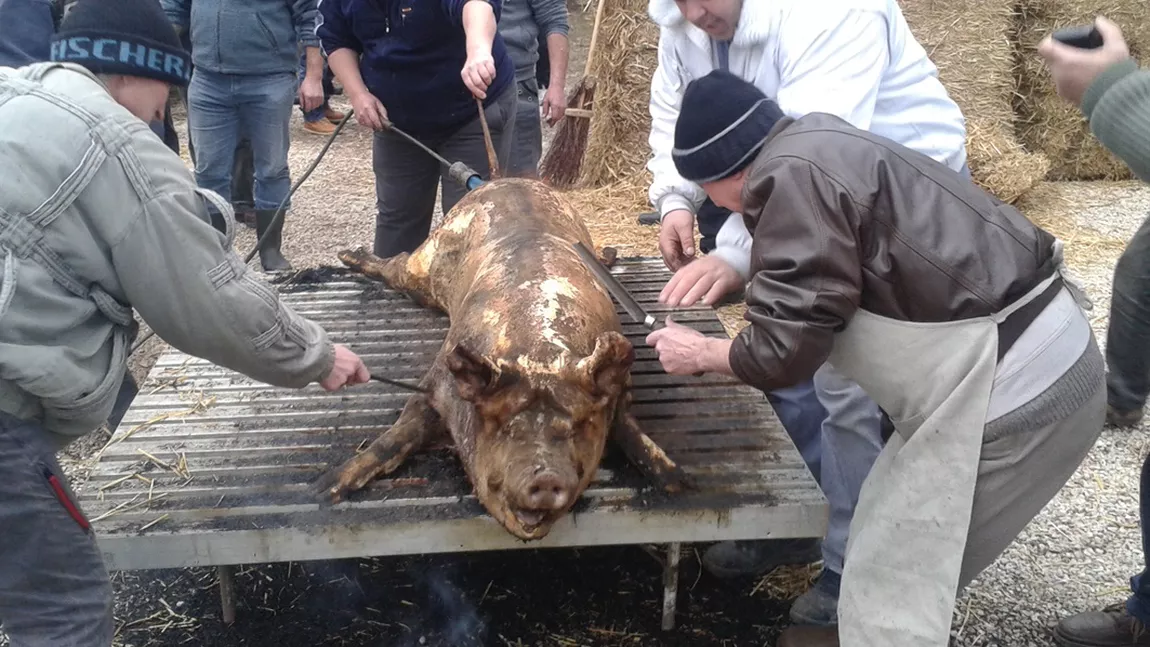Când este bine să tai porcul? Tradiţii şi obiceiuri în Moldova