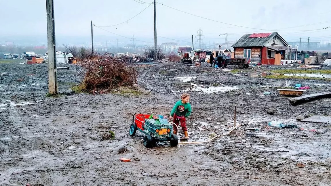 2 bebeluși morți în Baia Mare, în zona Pirita. Mama și bunica, după gratii