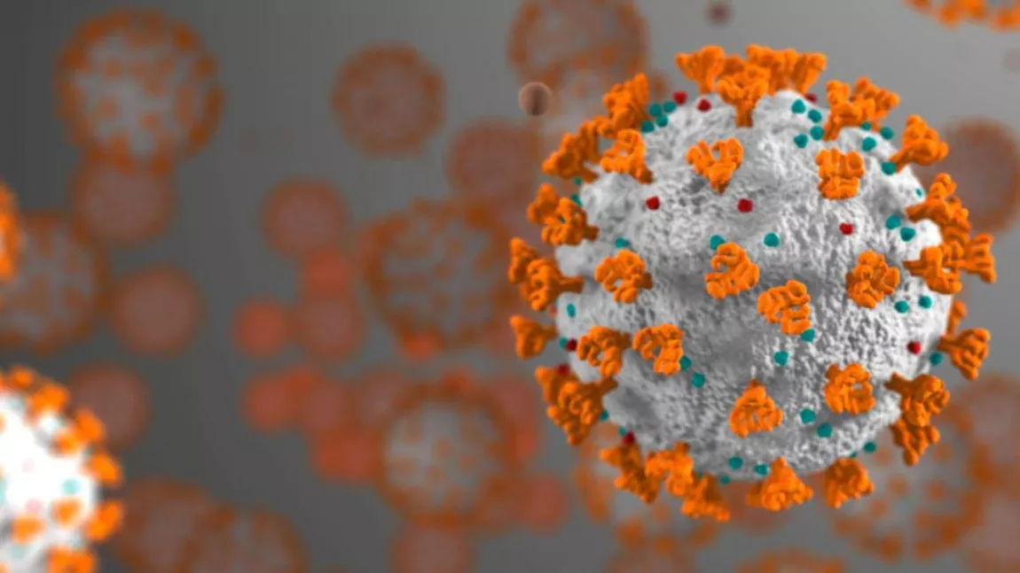 Cum evită SARS-CoV-2 apărarea noastră imună