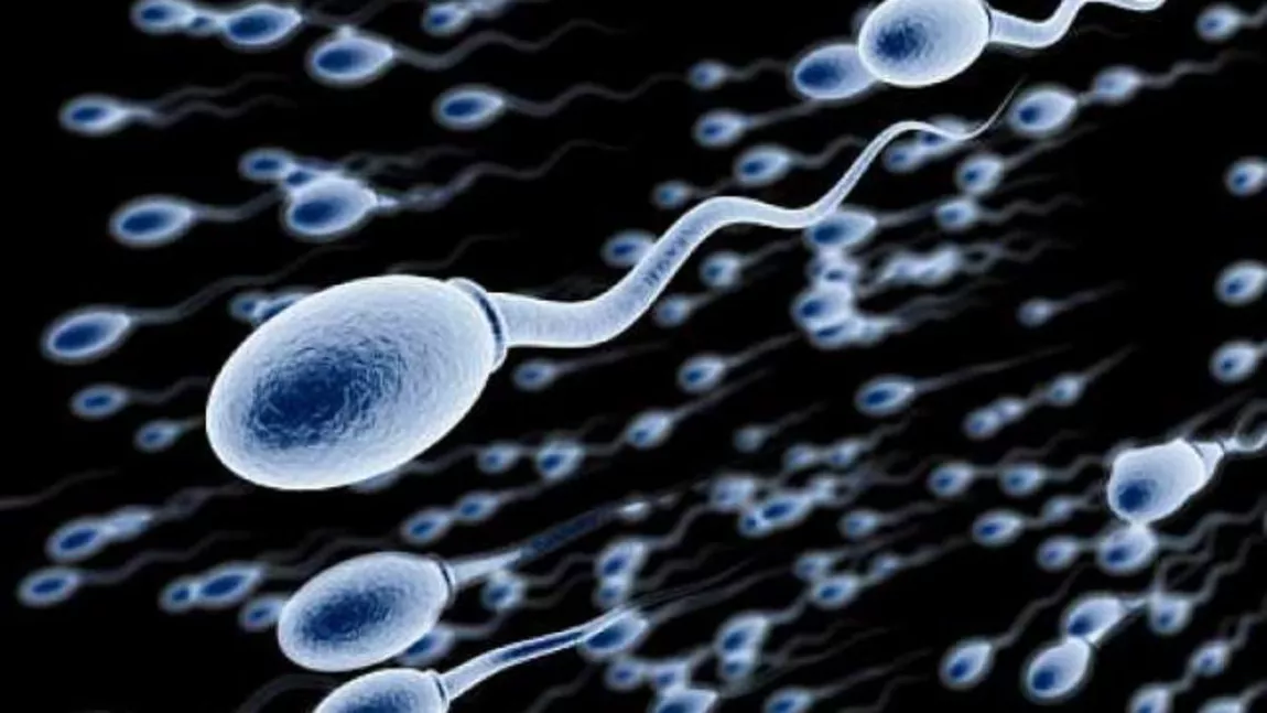 Calitatea spermei, diminuată de Covid-19?
