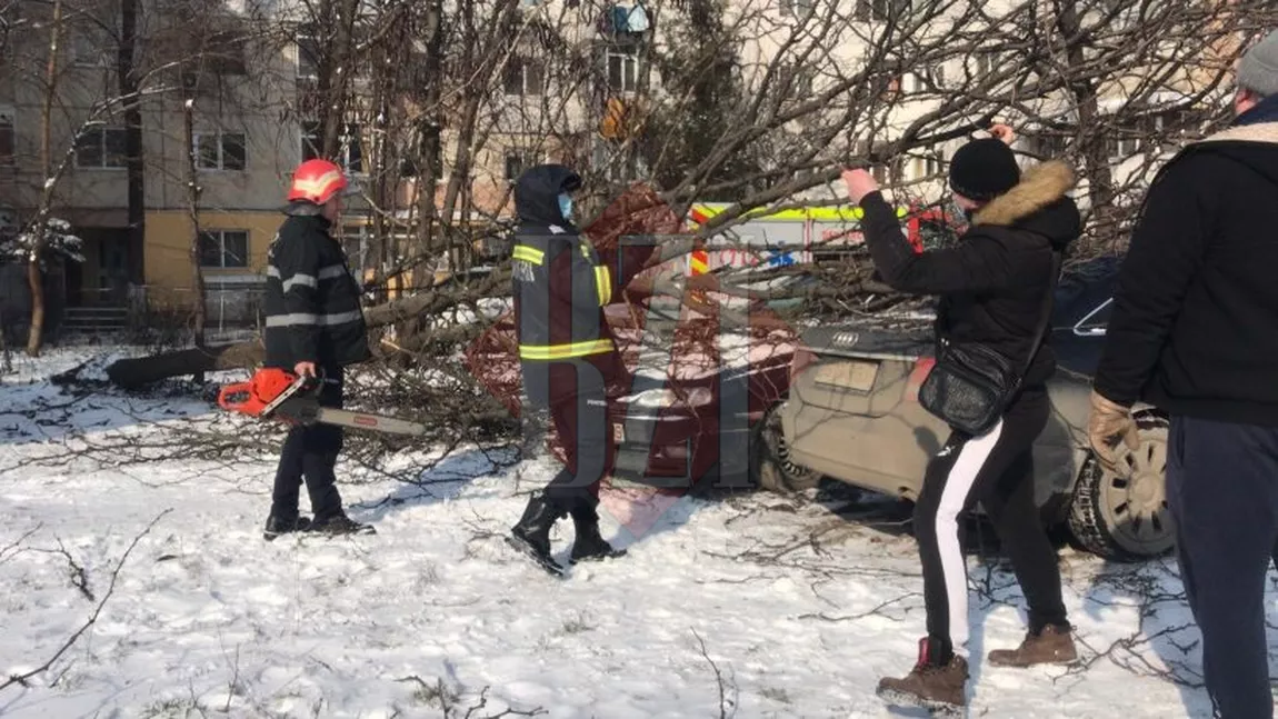 Vremea rea face ravagii în Iași! Un copac a căzut peste o maşină - FOTO, VIDEO