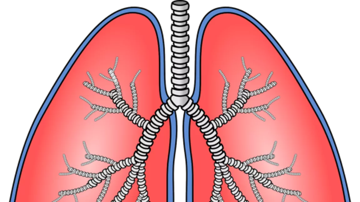 Remedii pentru infecţii respiratorii. Trei ingrediente fac minuni