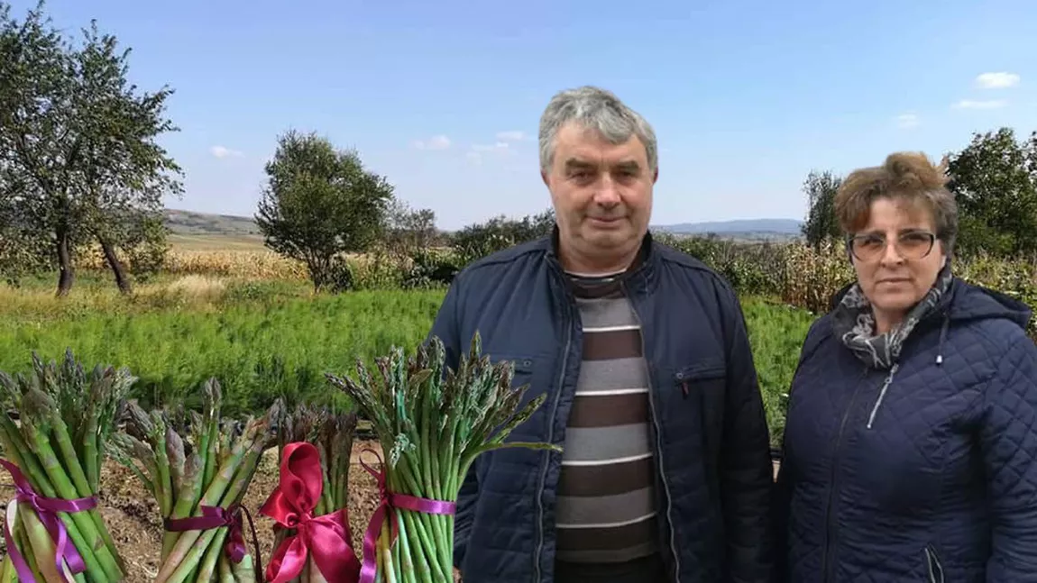 Doi soți din Iași cultivă 