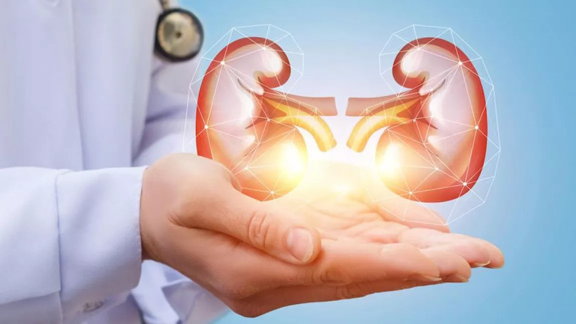 De Ziua Mondială a Rinichiului medicii de la Spitalul „Dr. C.I. Parhon” din Iași trag un semnal de alarmă pentru prevenirea afecțiunilor renale grave
