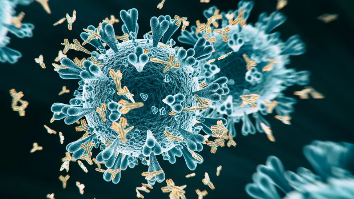 Care sunt condițiile în care coronavirusul devine inactiv