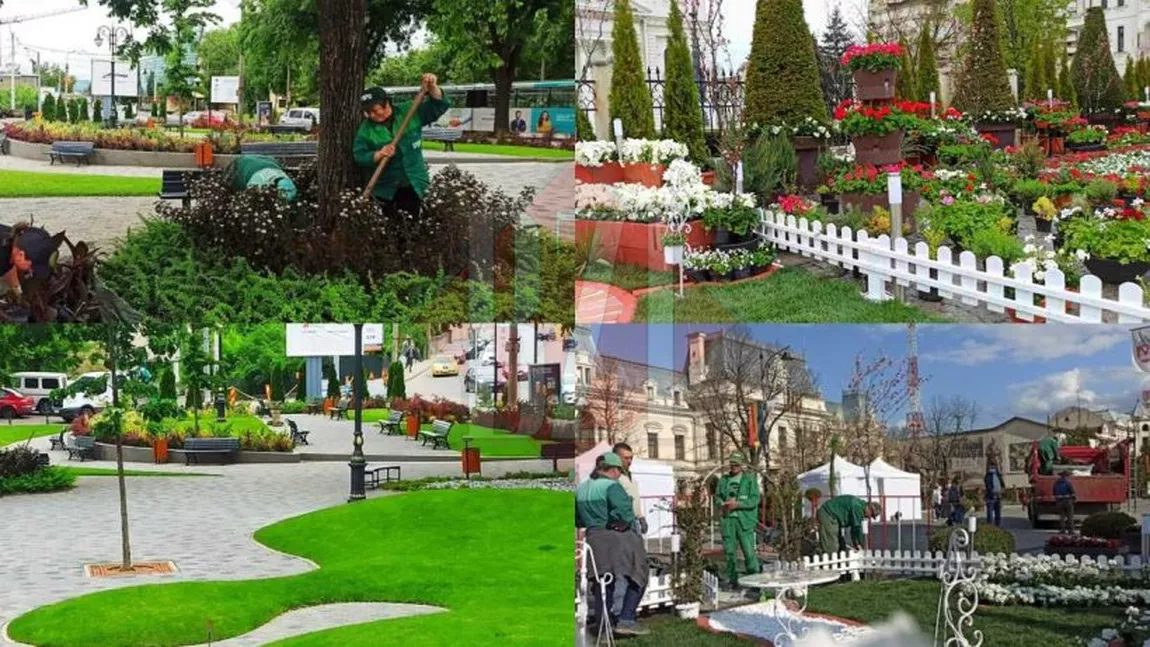 Ei sunt arhitecții spațiilor verzi din Iași! Timp de mai multe decenii au stat cu mâinile în pământ. Nimeni nu știa ce școală au absolvit - FOTO