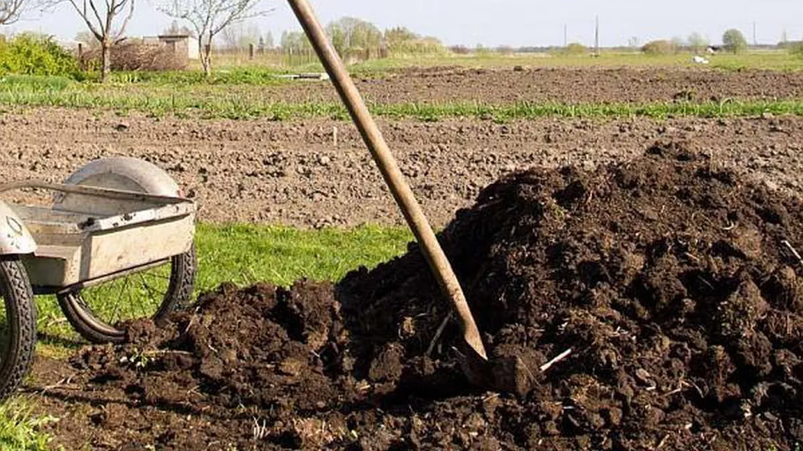 Fermierii din Iași pot fi amendați de Garda de Mediu dacă mirosul degajat de împrăștierea gunoiului de grajd deranjează localnicii. Primăriile trebuie să înființeze centre de colectare a gunoiului de grajd