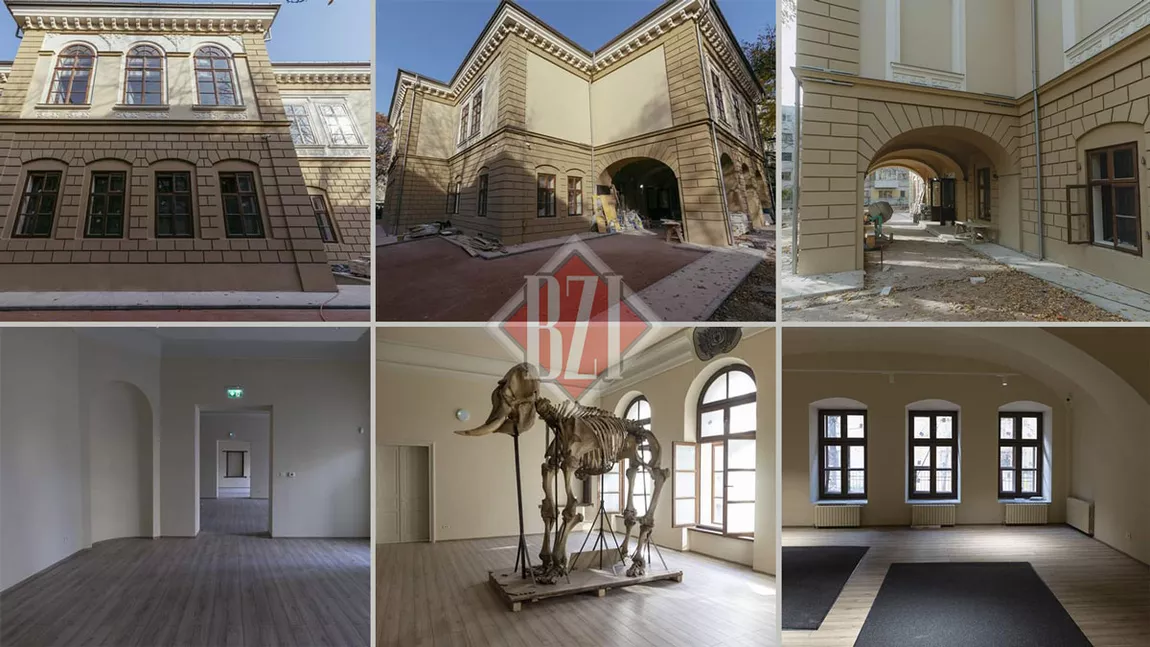 Imagini în premieră din interiorul Muzeului de Istorie Naturală! Modernizarea clădirii din centrul Iașului a costat aproape 3 milioane de euro. S-a stabilit data pentru deschiderea oficială - GALERIE FOTO