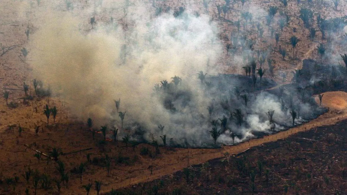 Pădurea din Amazon, Brazilia, se confruntă cu cele mai mari defrişări din ultimii 15 ani - FOTO