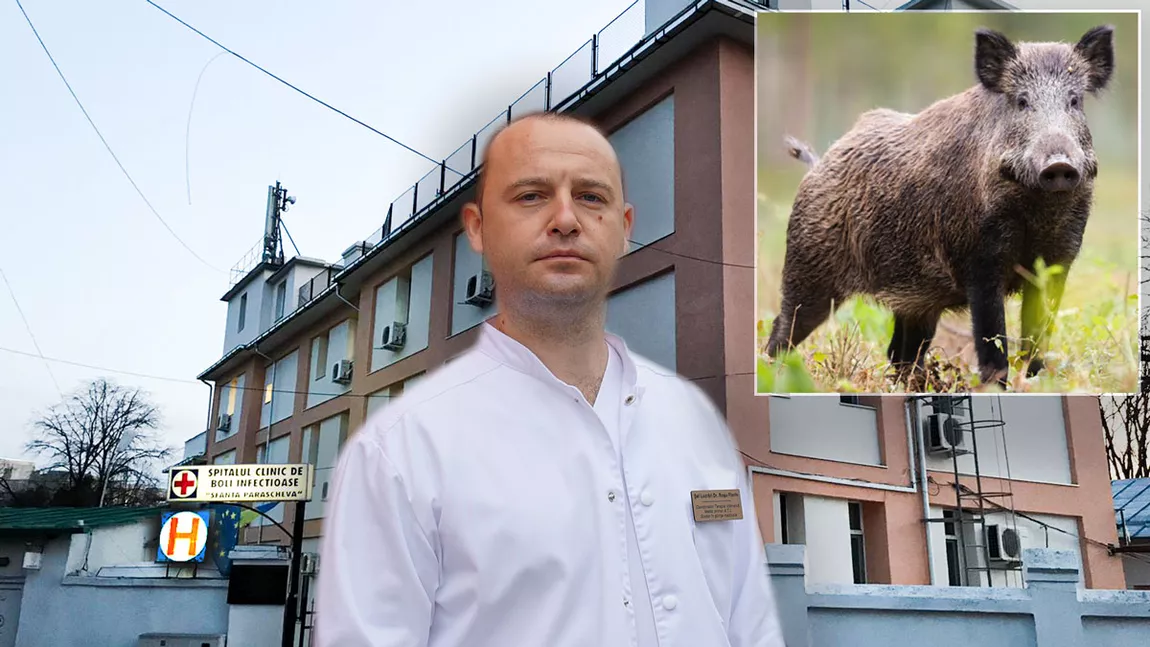 Un tânăr de 20 de ani, din Iași, a fost salvat în ultima clipă, după ce a fost mușcat de un porc mistreț! Dr. Florin Roșu: 