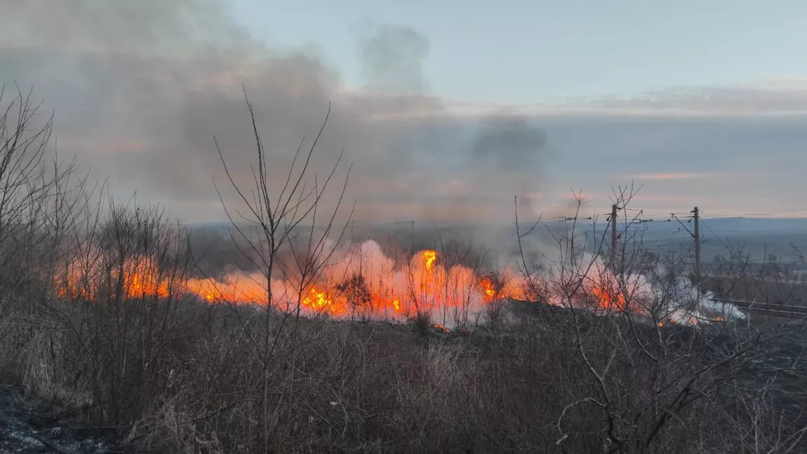 Agenţia pentru Protecţia Mediului Iaşi trage un semnal de alarmă, după ce s-au înregistrat mai multe incendii de vegetație