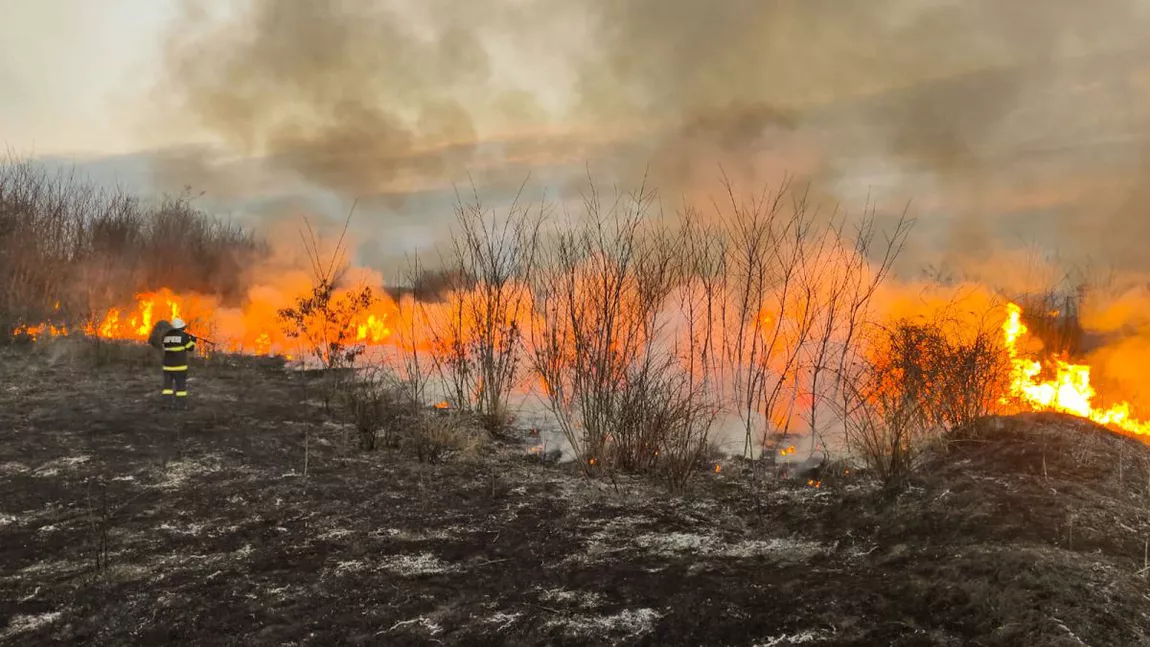 Număr-record de incendii de vegetație în Iași! Peste 2.700 de hectare au luat foc de la începutul acestui an- FOTO