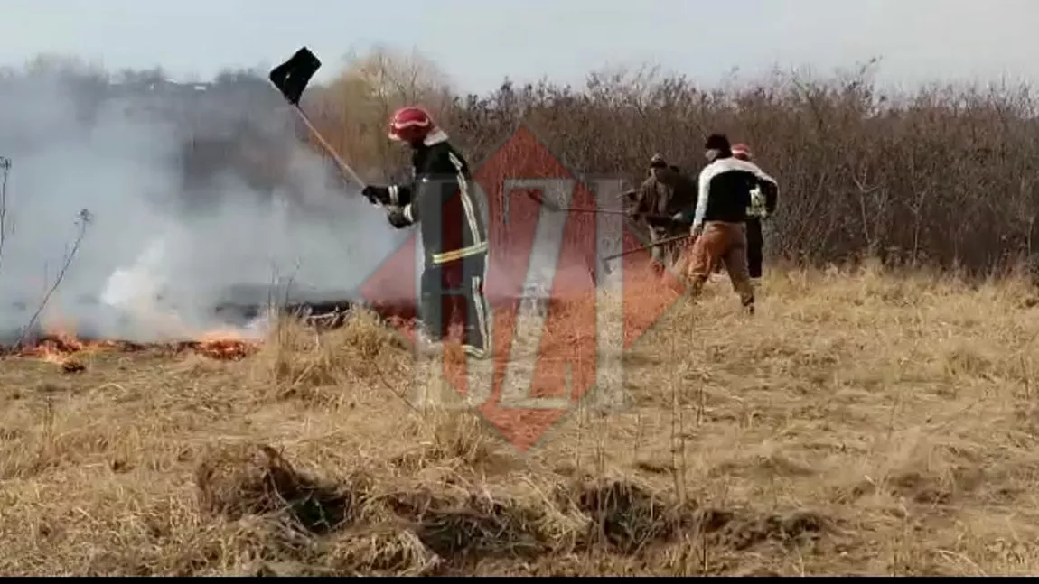 Incendiu de vegetație uscată la Mogoșești. Pompierii s-au deplasat la fața locului - EXCLUSIV, FOTO, VIDEO