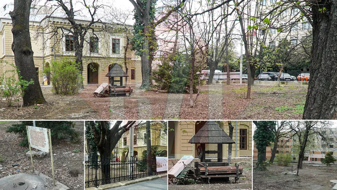 În zona de centru a orașului Iași, Bulevardul Independenței, se amenajează cea mai frumoasă grădină - GALERIE FOTO, EXCLUSIV