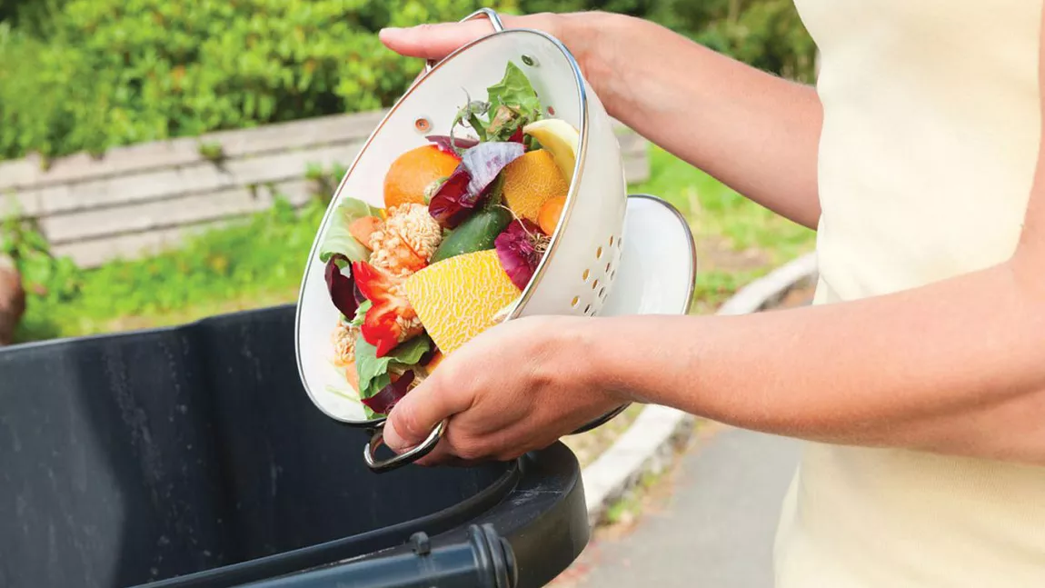 Românii aruncă la gunoi alimente care valorează miliarde de euro. Asta în plină criză alimentară