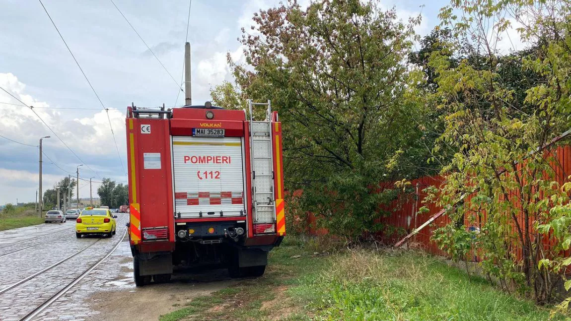 Pompierii ISU Iași intervin pentru a salva un animal blocat în noroi