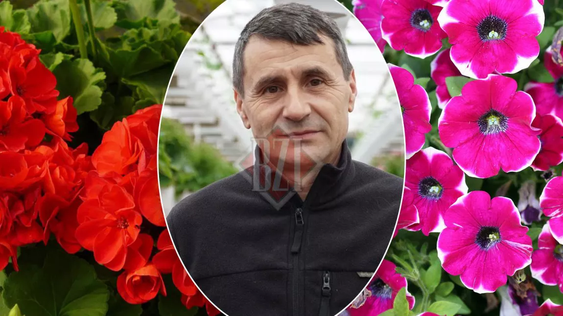 Afacerile cu flori din Iași, afectate de scumpiri! S-au închis florăriile din cauza cererii scăzute. „Vin vremuri grele!”