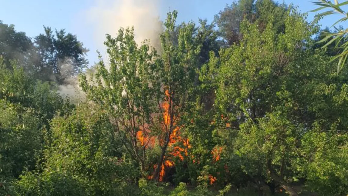 Incendiu de vegetație uscată și deșeuri în satul Poieni. Pompierii au intervenit la fața locului - GALERIE FOTO