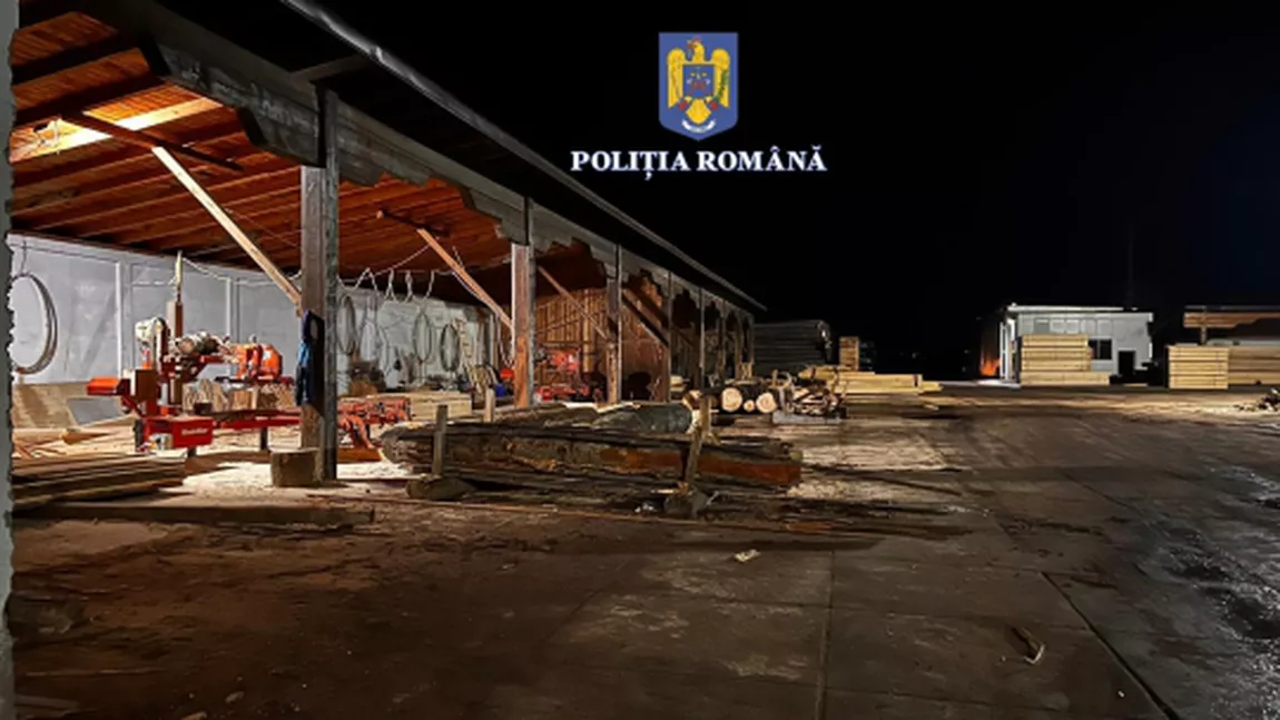 Sute de percheziții în Iași și în țară la mafia lemnelor - FOTO, VIDEO