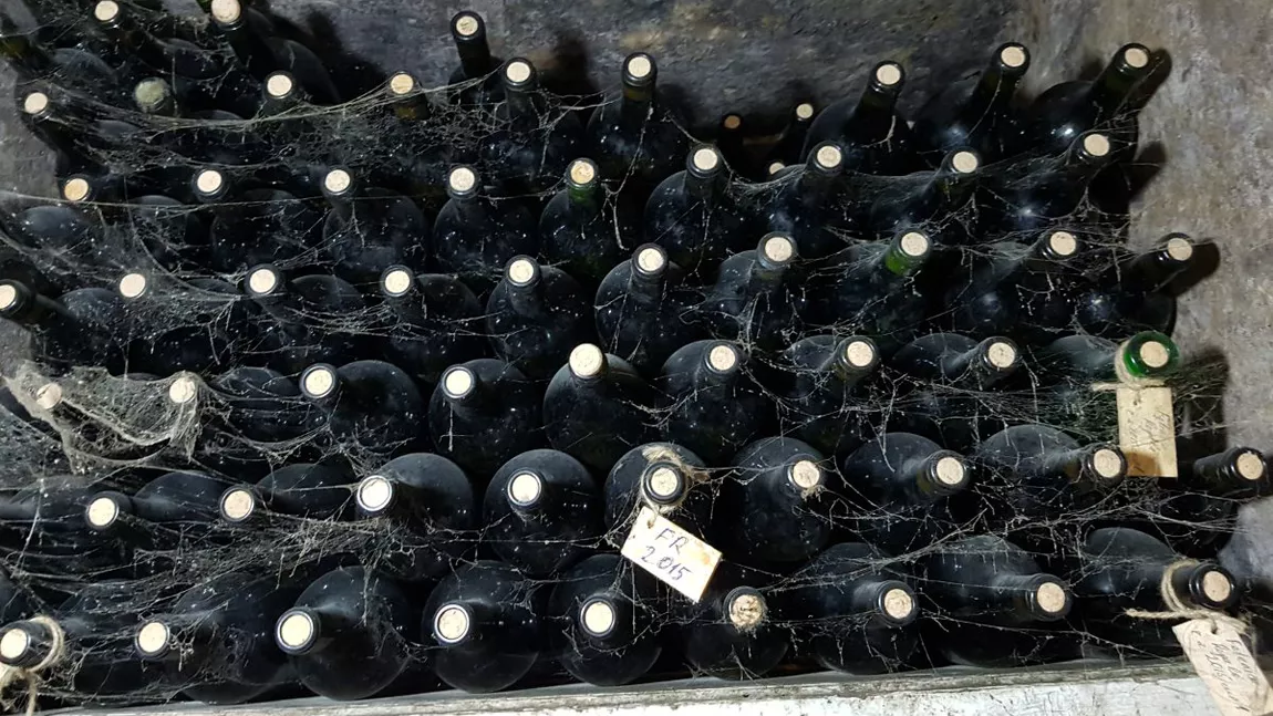 Atenţie români! Un bărbat din Alba a fost amendat pentru că ţinea 200 de litri de vin în beci